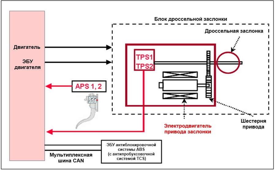 Блок-схема управления электрической дроссельной заслонкой ETC