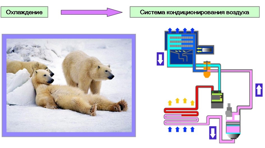 Решение: охлаждение