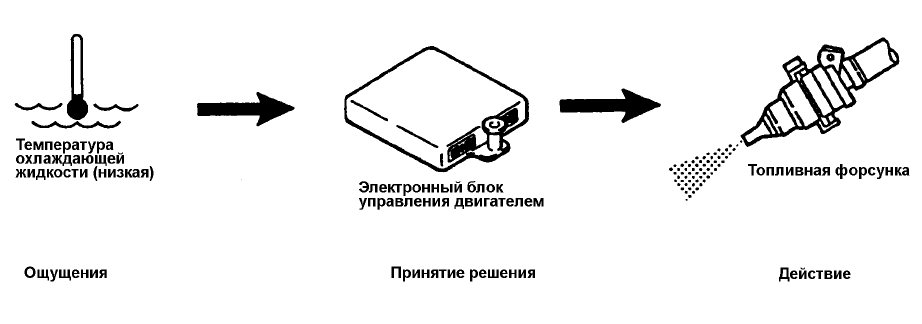 Принцип действия системы распределенного впрыскивания топлива (MPI)