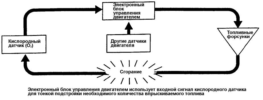MPI Управление цепью обратной связи
