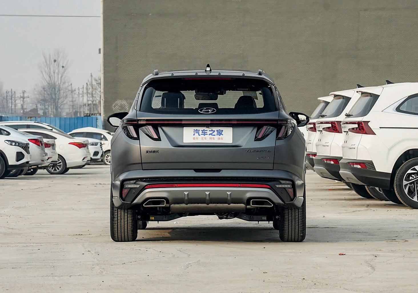 Hyundai Tucson GLS фото сзади