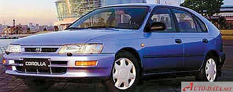 Toyota Corolla Hatch VII (E100) 1.6 i 16V GLi (114 Hp) /1995, 1996, 1997/  Specs - фото
